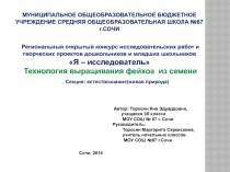 Презентация Технология выращивания дерева фейхоа