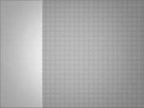 Презентация по биологии. Спид и Вич