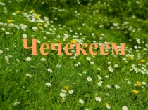 Презентация по чувашскому языку на тему Цветы (6 класс)