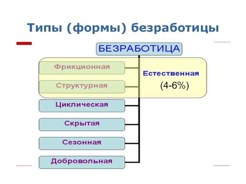 Причины и виды безработицы презентация 10 класс липсиц