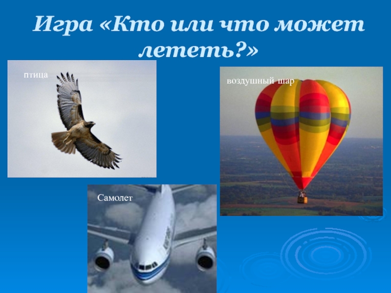 животные которые умеют летать кроме птиц. почему летает самолет. почему летит самолет. ангелы летают. назовите то что может летать.