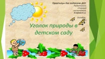 Презентация Уголок природы в детском саду