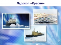 Презентация по окружающему миру на тему Где живут белые медведи?