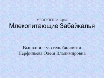 Презентация к уроку биология 7 класс Млекопитающие Забайкалья