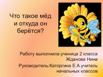 Презентация по внеурочной деятельности 2 класс Что такое мёд и откуда он берётся?