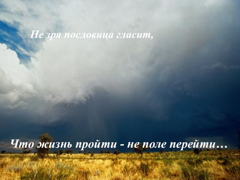 Жизнь прожить не поле перейти картинки с надписями