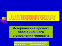 Презентация по биологии Антропогенез (11класс)