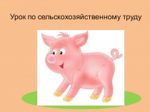 Презентация к уроку по сельскохозяйственному труду на тему Болезни свиней и их предупреждение