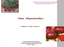 ПрезентациЯ по Физиологии питания с основами товароведения продовольственных товаров на тему Корнеплоды студентка группы 237 Черникова Анастасия