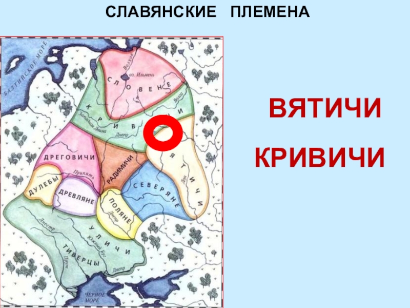 Кривичи история племени. Вятичи древляне дреговичи Поляне. Поляне древляне дреговичи радимичи Вятичи Кривичи. Дреговичи Кривичи Вятичи древляне. Поляне древляне Вятичи Кривичи карта.