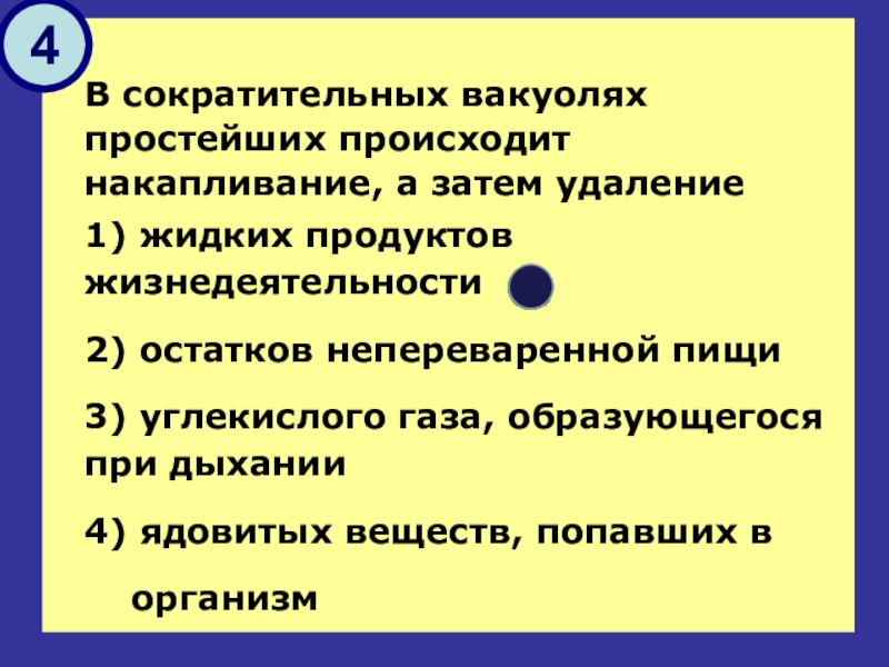 В сократительных вакуолях простейших происходит