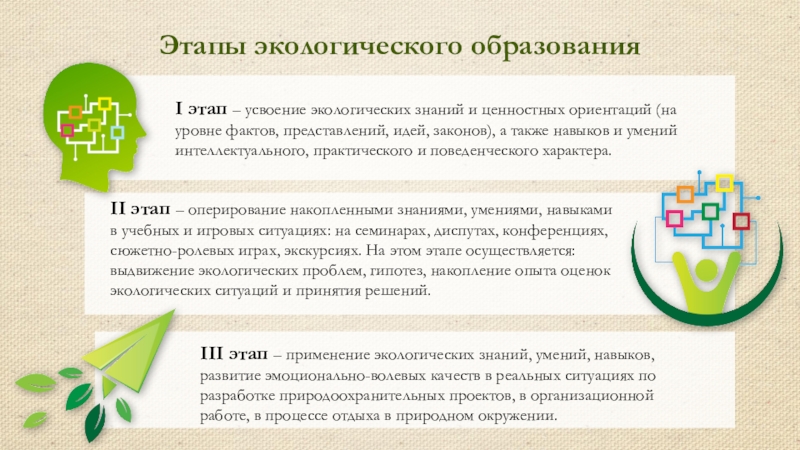 Этапы экологии. Проблемы экологического образования. Экологический этап. Этапы экологического образования. Этапы непрерывного экологического образования.