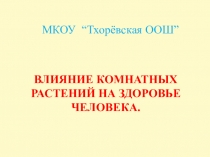 Презентация. Влияние комнатных растений на здоровье человека. 6 класс.