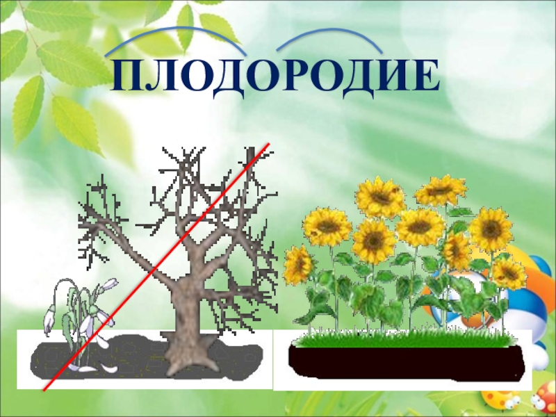 Плодородие. Плодородие рисунок. Нарисовать плодородие. Плодородие почвы рисунок. Рисунок к слову плодородие.