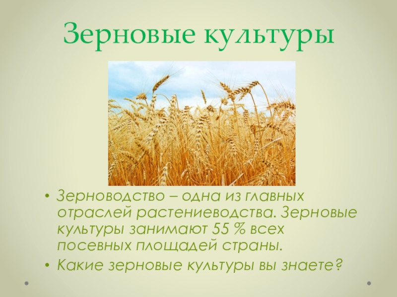 Презентация растениеводство в нашем крае 4 класс окружающий мир плешаков