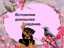 Презентация по биологии на тему Кто в почве живет 5 класс