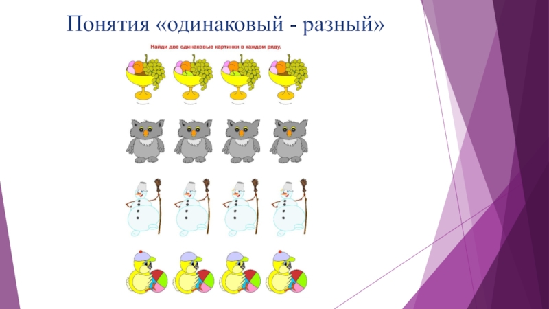 Одинаково разные проект