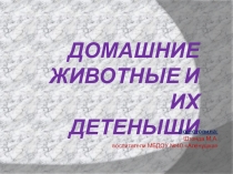Презентация для детей дошкольного возраста на тему: Домашние животные