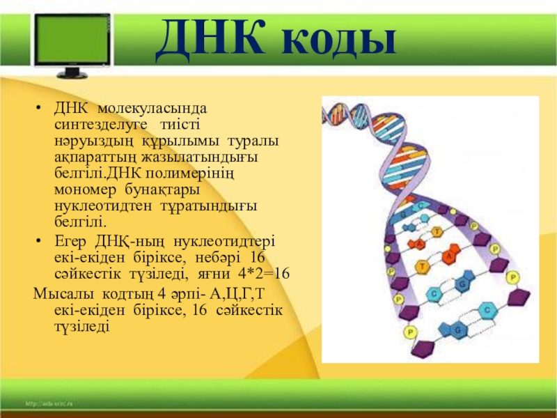 Нәруыздар презентация химия