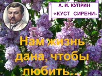 Проект Нам жизнь дана, чтобы любить по произведению А. Куприна Куст сирени