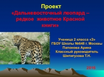 ПРОЕКТ Дальневосточный леопард – редкое животное Красной книги