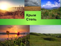 Презентация по окружающему миру на тему Крымская степь.