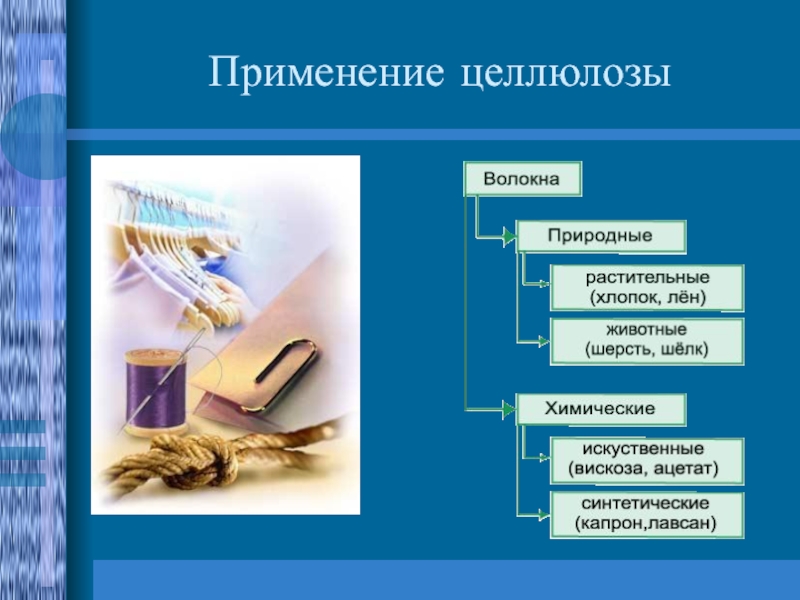 Целлюлоза презентация по химии