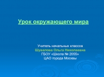 Презентация по окружающему миру Строение тела человека ( 4 класс)