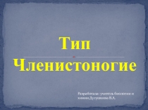 Презентация по биологии на тему Общая характеристика Членистоногих