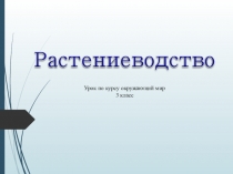 Презентация по окружающему миру на тему Растениеводство