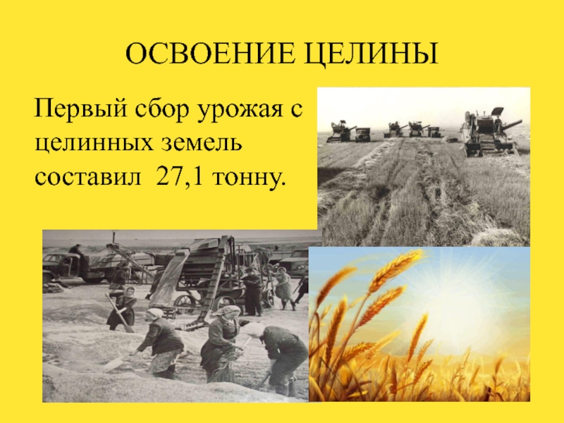 Целина начало год. Освоение целины 1954г. Целина освоение целинных земель Казахстан. Целина в Казахстане 1954. Освоение целины 1960.