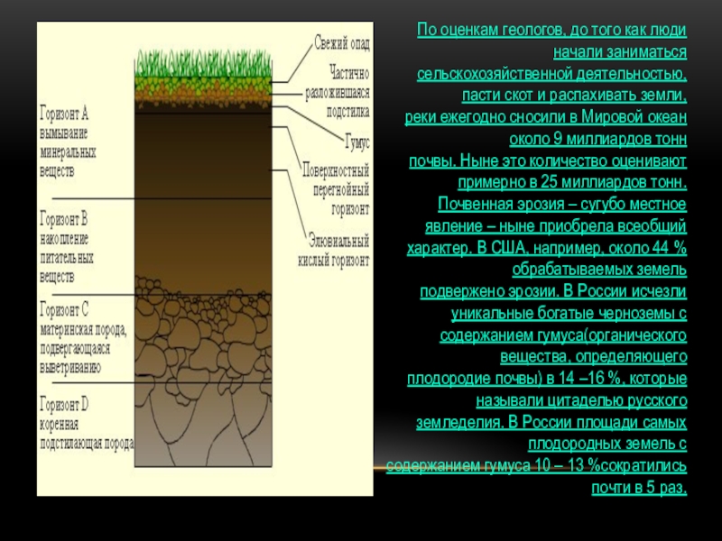 Плодородие зависит от содержания. Плодородие почвы зависит от. Плодородие почвы зависит от количества. Органическое вещество определяющее плодородие почв. Органический слой почвы.