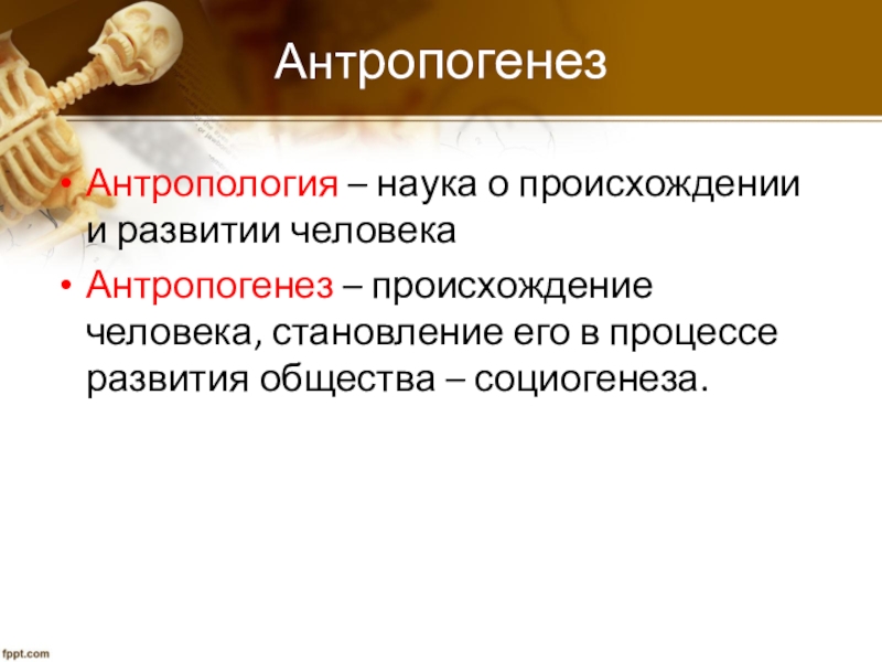 Антропогенез презентация 9 класс