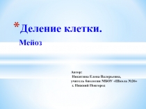 Презентация по биологии на тему Деление клеток. Мейоз.