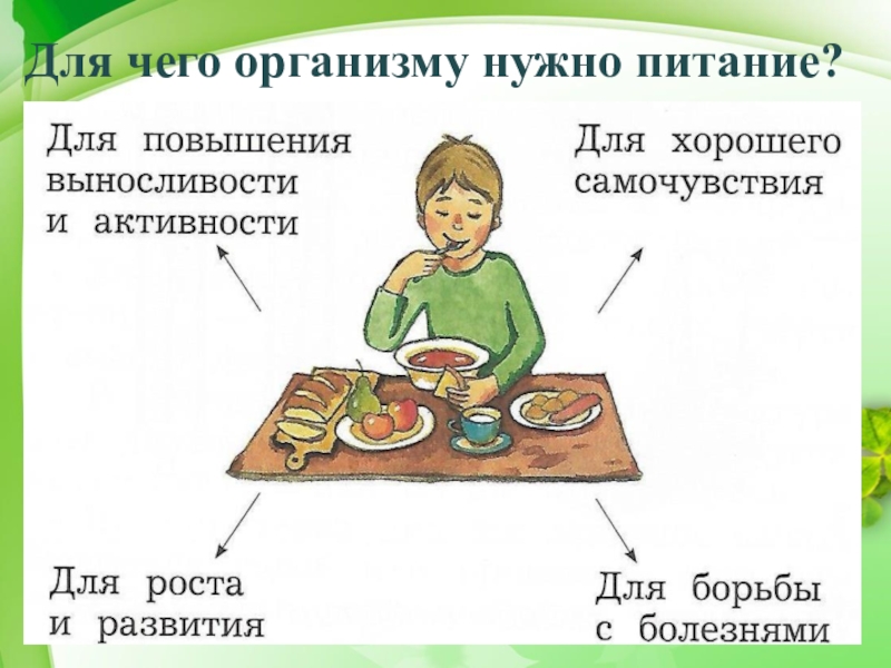 Как правильно питаться 2 класс окружающий мир презентация