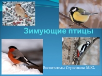 Зимующие птицы