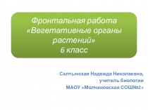 Фронтальная проверочная работа Вегетативные органы растений