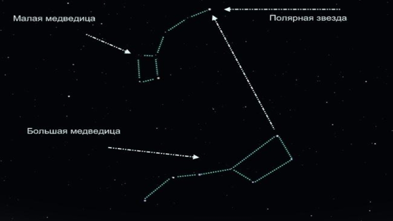 Маленькая медведица звезды. Большая Медведица и малая Медведица. Большая и малая Медведица Созвездие. Созвездие малая Медведица и Полярная звезда. Полярная звезда Альфа малой медведицы.