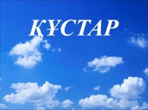 Құстар туралы презентация. 1-сынып