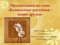 Презентация Комнатные растения и уход за ними