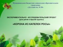 Эксперементально-исследовательский проект Корона из капелек росы(старший возраст)