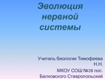Презентация по биологии Эволюция нервной системы (7 класс)