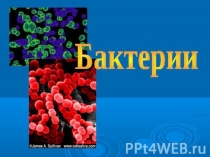 Урок по биологии на тему Бактерии и их роль в природе и жизни человека.