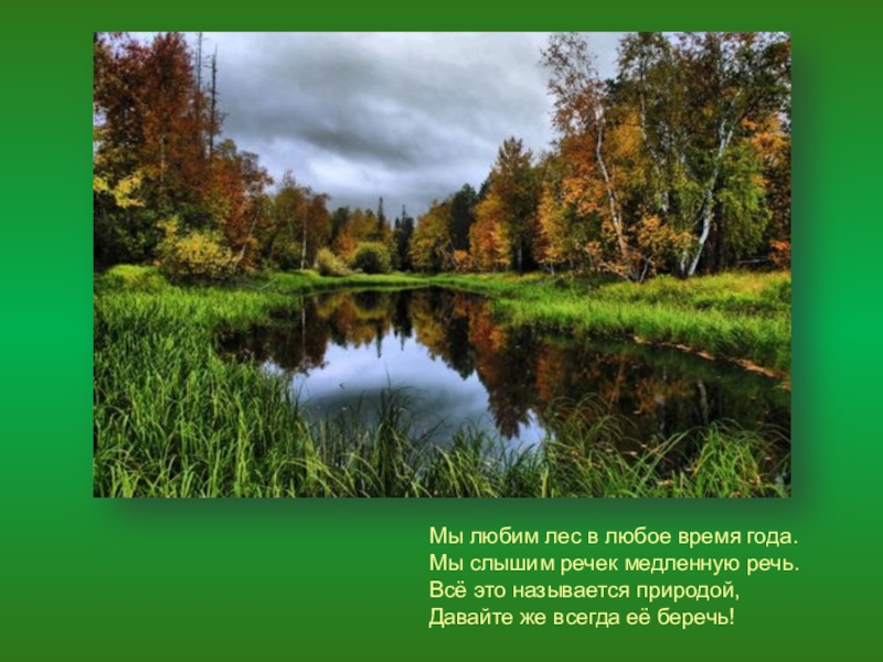 Почему природу назвали природой. Лес в любое время года. Мы любим лес в любое время года мы слышим речек медленную речь. Любим лес. Любое время года.