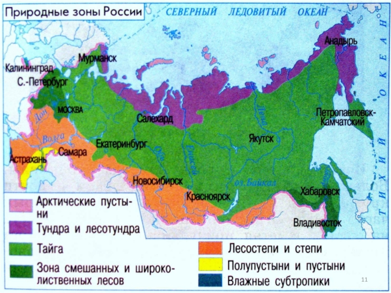 Карта окружающего мира 4 класс