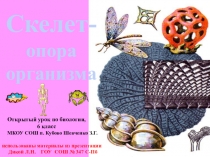 Презентация по биологии на тему: Скелет - опора организма (6 класс)