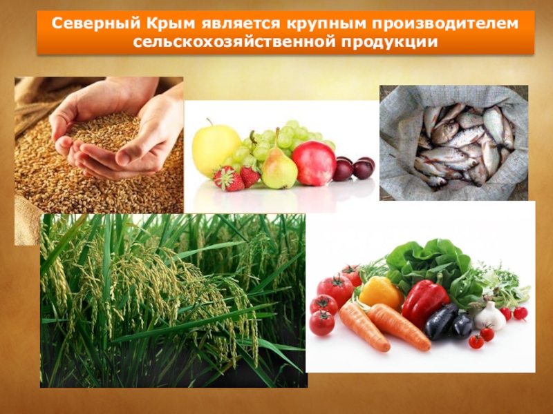 Страна является крупнейшим производителем сельскохозяйственной продукции