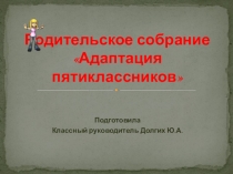 Презентация к родительскому собранию. Адаптация пятиклассников.