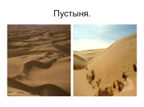 Презентация по окружающему миру Пустыня. Животные и растения пустыни