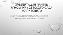 Презентация группы Гномики раннего возраста